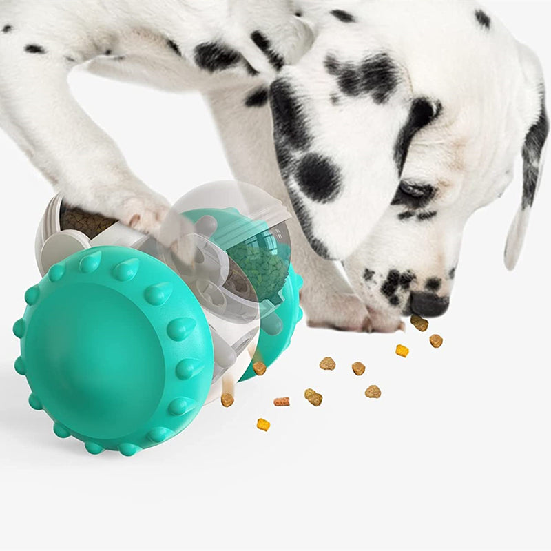 One toy, cats and dogs both enjoy