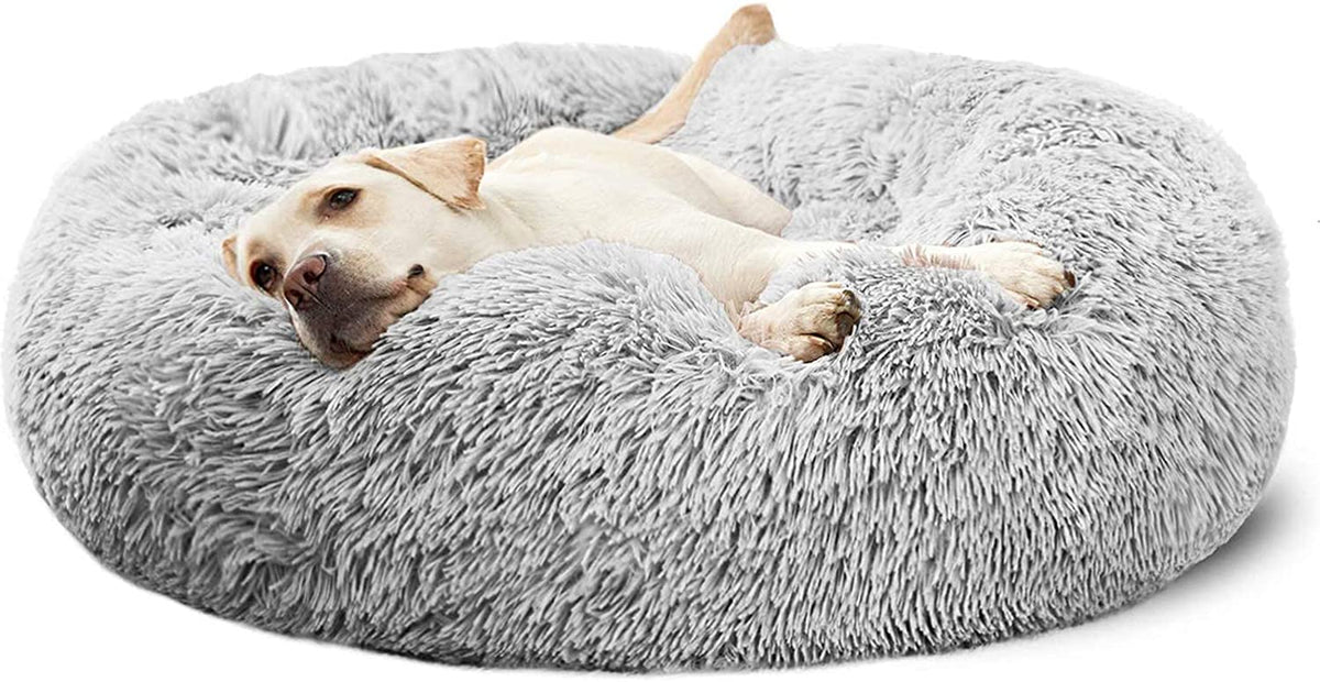 30 inches of room for bigger dogs