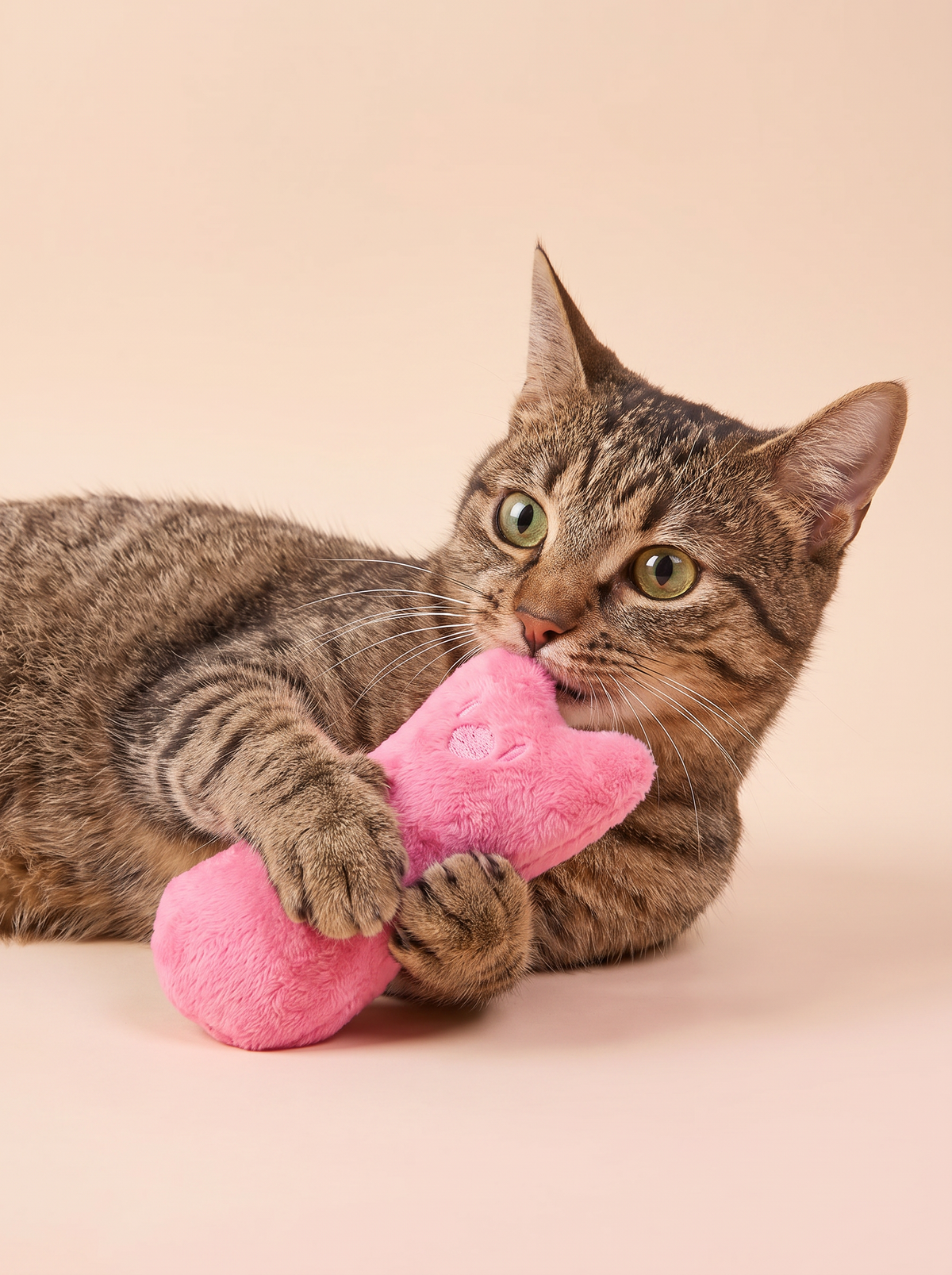 The scent that gets even lazy cats moving