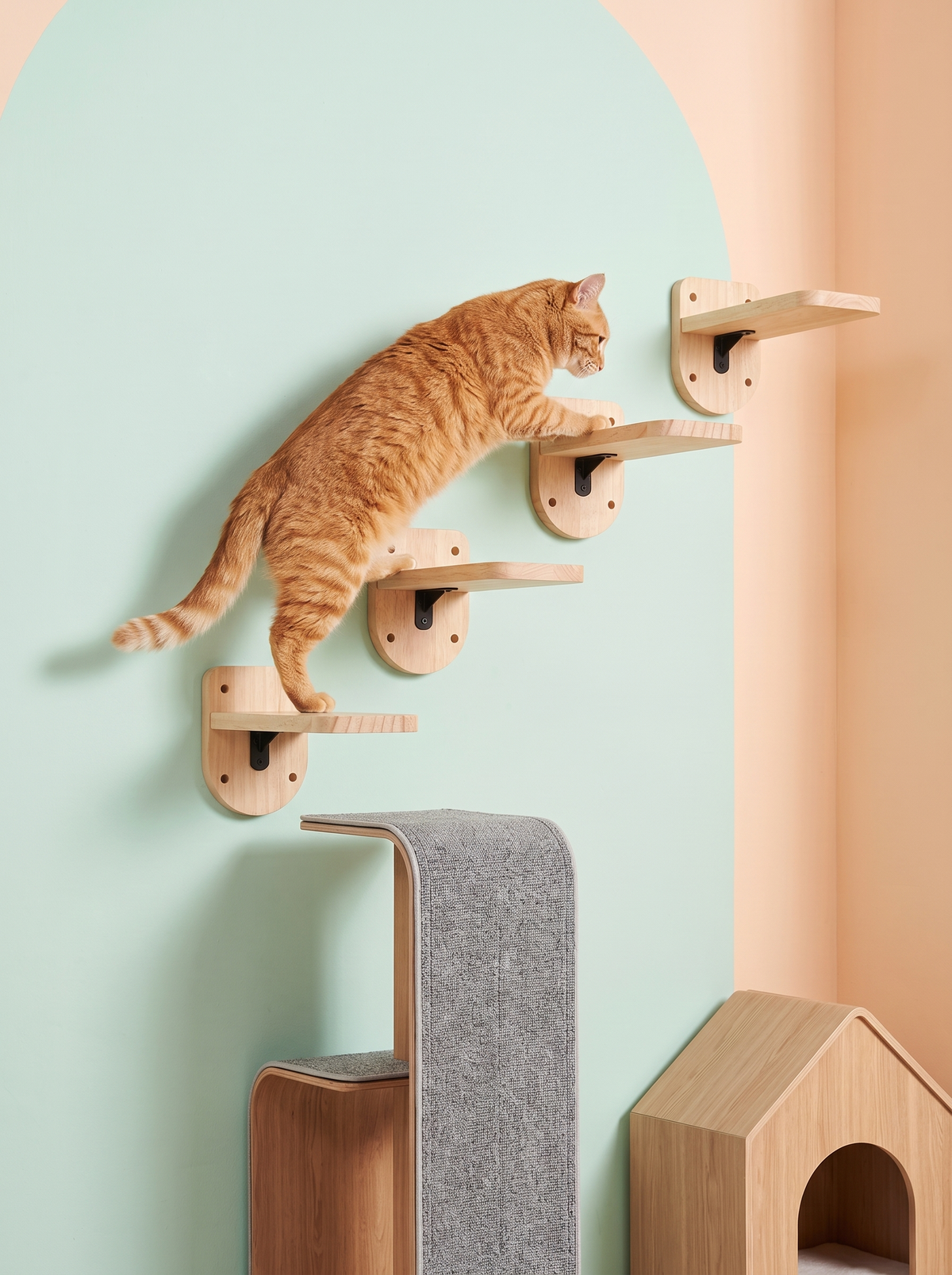 A staircase built for a cat's favorite hobby
