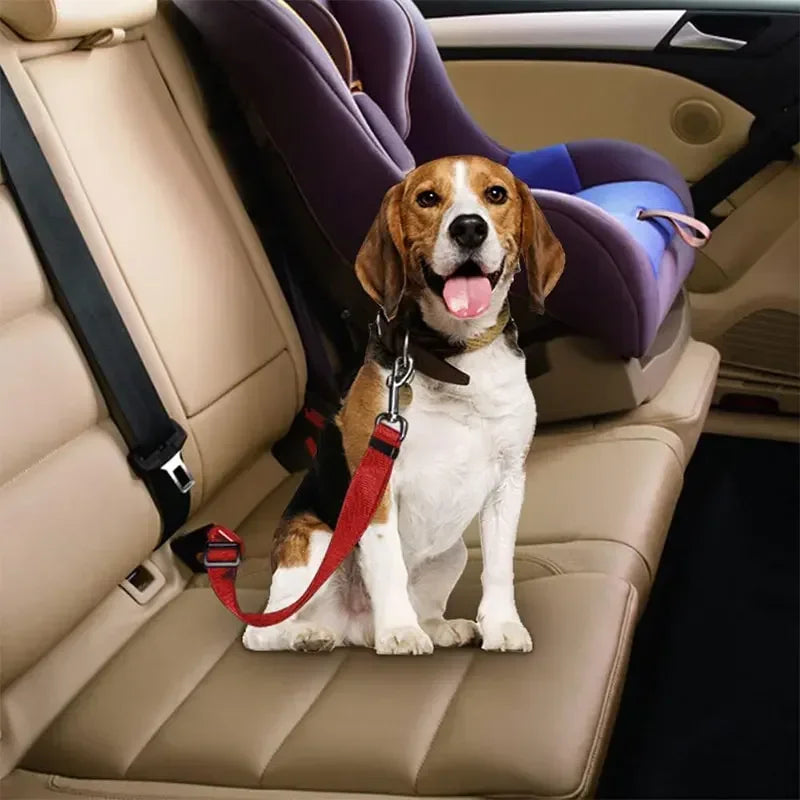 Adjustable Dog Car Seat Belt Safety Harness with Lead Clip Traction Harness for Cats and Dogs Vehicle Pet Seat Accessory