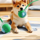 1~3Pcs Cat Interactive Ball Toy Automatic Rolling Ball Tail Rechargeable Smart Pet Electric Toy Dog Cat Training Imitate Mouse
