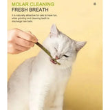 6Pcs Natural Matatabi Cat Stick Mint Caught Bite Excited Rods Silvervine for Cat Teeth Cleaning Treating Pet Supply Cat Toys