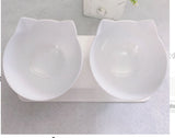Cat Elevated Feeder Stand with Transparent Bowl
