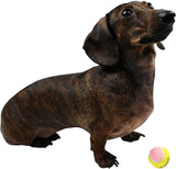 X-Small Dog Tennis Balls 1.5" Pack of 12