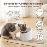 Dark Green Ceramic Raised Cat Bowls, Tilted Elevated Food or Water Bowls, Stress Free, Backflow Prevention, Dishwasher and Microwave Safe, Lead & Cadmium Free