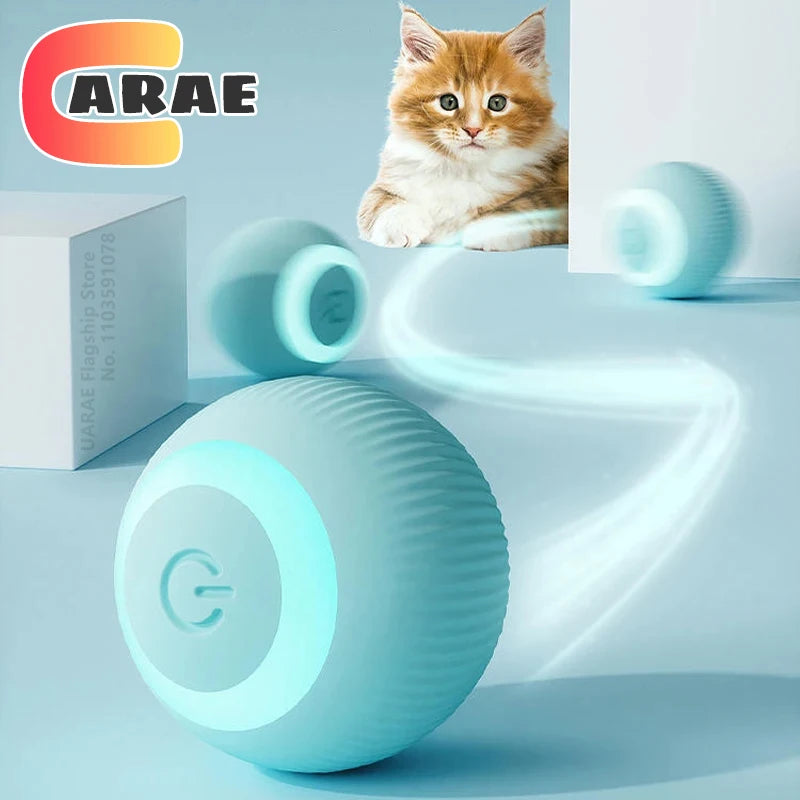 Movement that keeps cats guessing