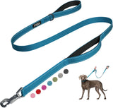 Heavy Duty Dog Leash for Medium Large Dogs, 5 FT, Dual Padded Handles