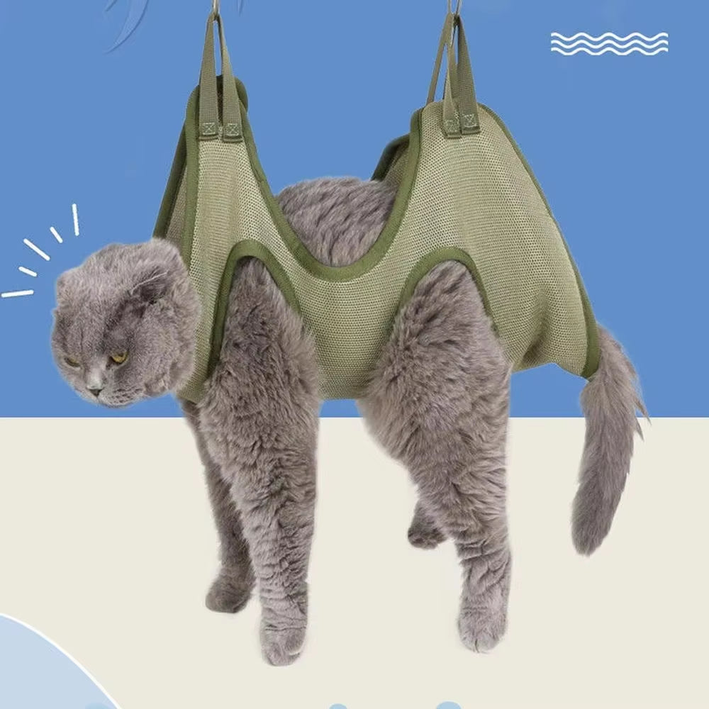 Openings that keep one paw at a time accessible