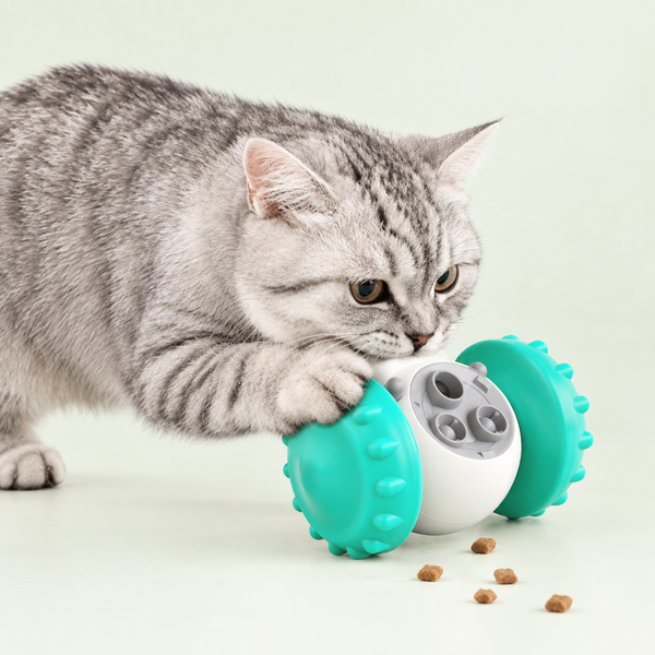 Interactive Balance Roller Treat Toy Car