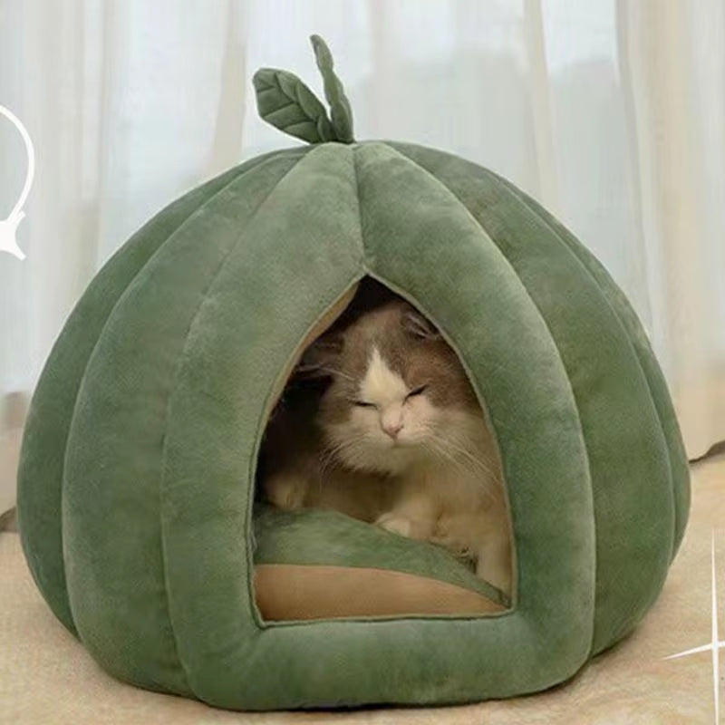 A pumpkin patch of warmth for winter