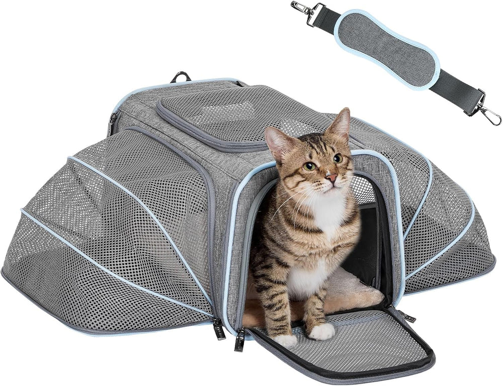 Small Double Expandable Cat Carrier for Kittens and Air Travel