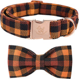 Fall Dog Collar with Bow, Black and Orange Print Fall Pet Collars Small