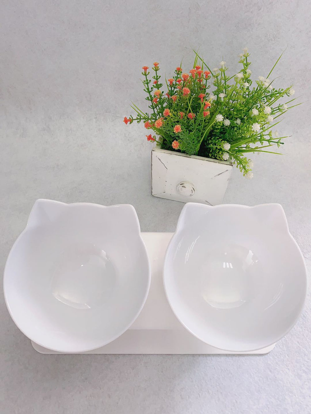 Cat Double Bowl Cat Food Bowl Protects Cervical Vertebra