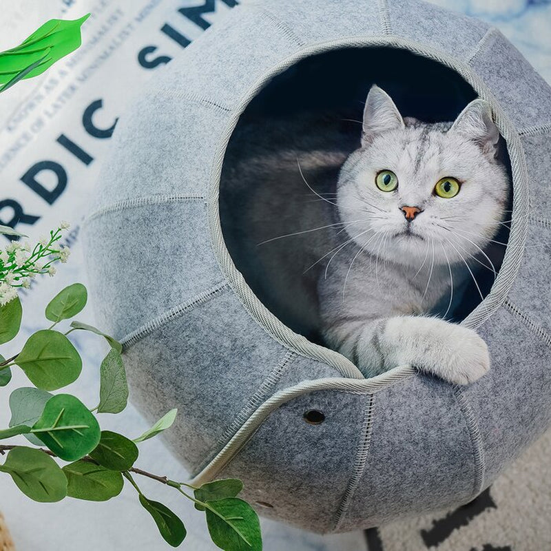 Cat Tunnel Toy Foldable Cat Tube Indoor Cat Cave Bed Multi-Function Pet Toy for Puppy Dogs Cats Interactive Ball Toy
