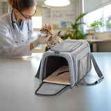 Small Double Expandable Cat Carrier for Kittens and Air Travel