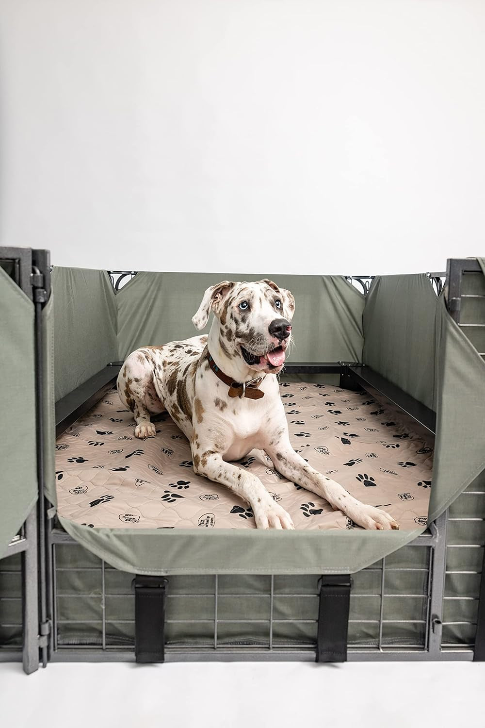 Reusable Dog Pee Pads, Washable Waterproof Mat 36X48 In, 2 Pack