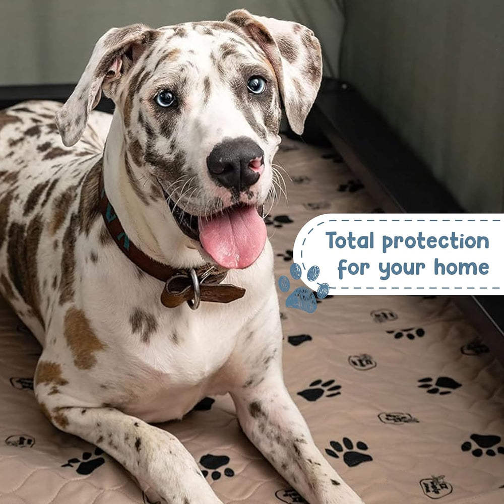 Reusable Dog Pee Pads, Washable Waterproof Mat 16.5X19.5 In, 2 Pk