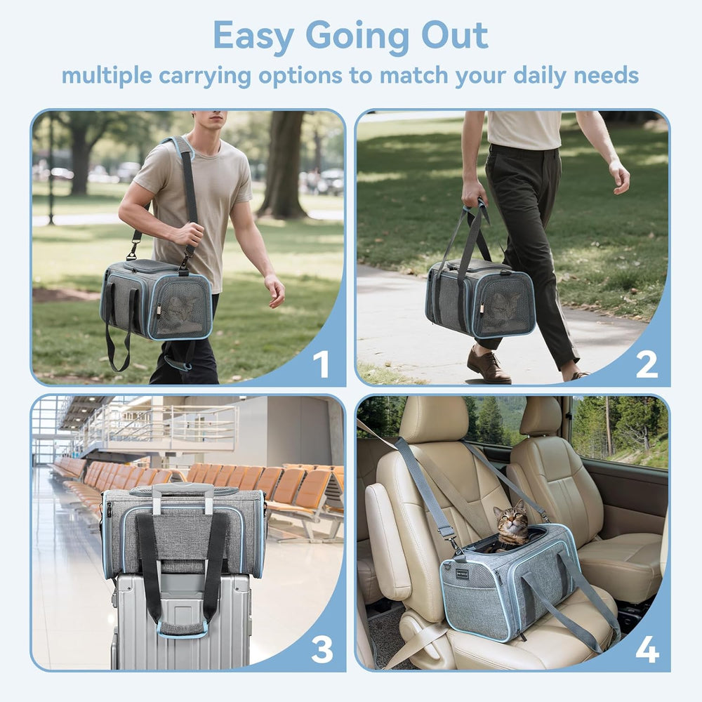 Small Double Expandable Cat Carrier for Kittens and Air Travel
