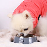 1PC Stainless Steel Pet Bowl Cat Bowl Dog Food Bowl Multi-Specification Anti-Fall Food Bowl Food Bowl Feeding Pet Supplies