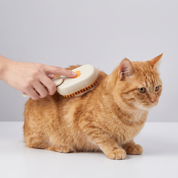 Cat Slicker Brush studio image with cat