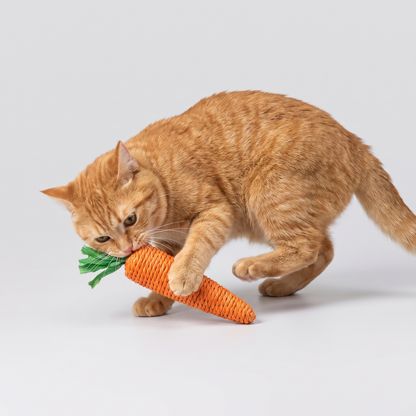 Carrot Cat Kicker Toy studio image with cat