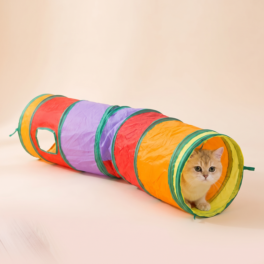 Cat Tunnel studio image with cat, warm beige tone