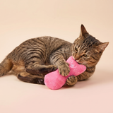 Catnip Cat Toy Plush Thumb Kicker studio image with cat, warm beige tone