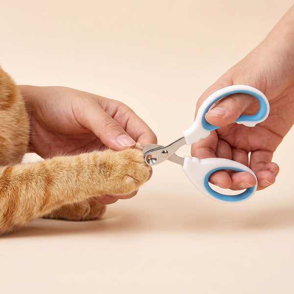 Cat Nail Clippers studio image with cat, warm beige tone