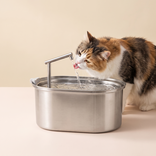 Stainless Steel Ultra-Quiet Cat Water Fountain, 3.2L
