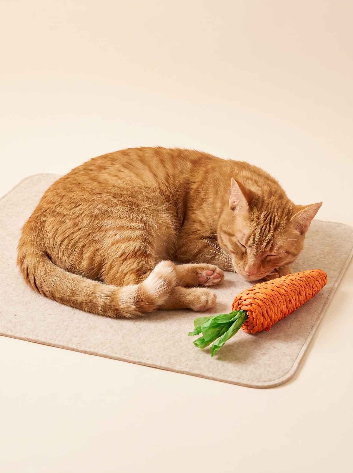 A calmer cat by bedtime