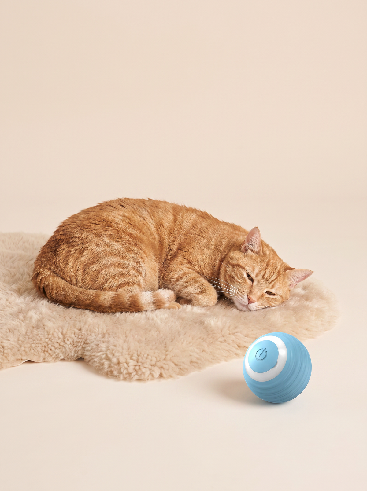 A calmer cat while you're away