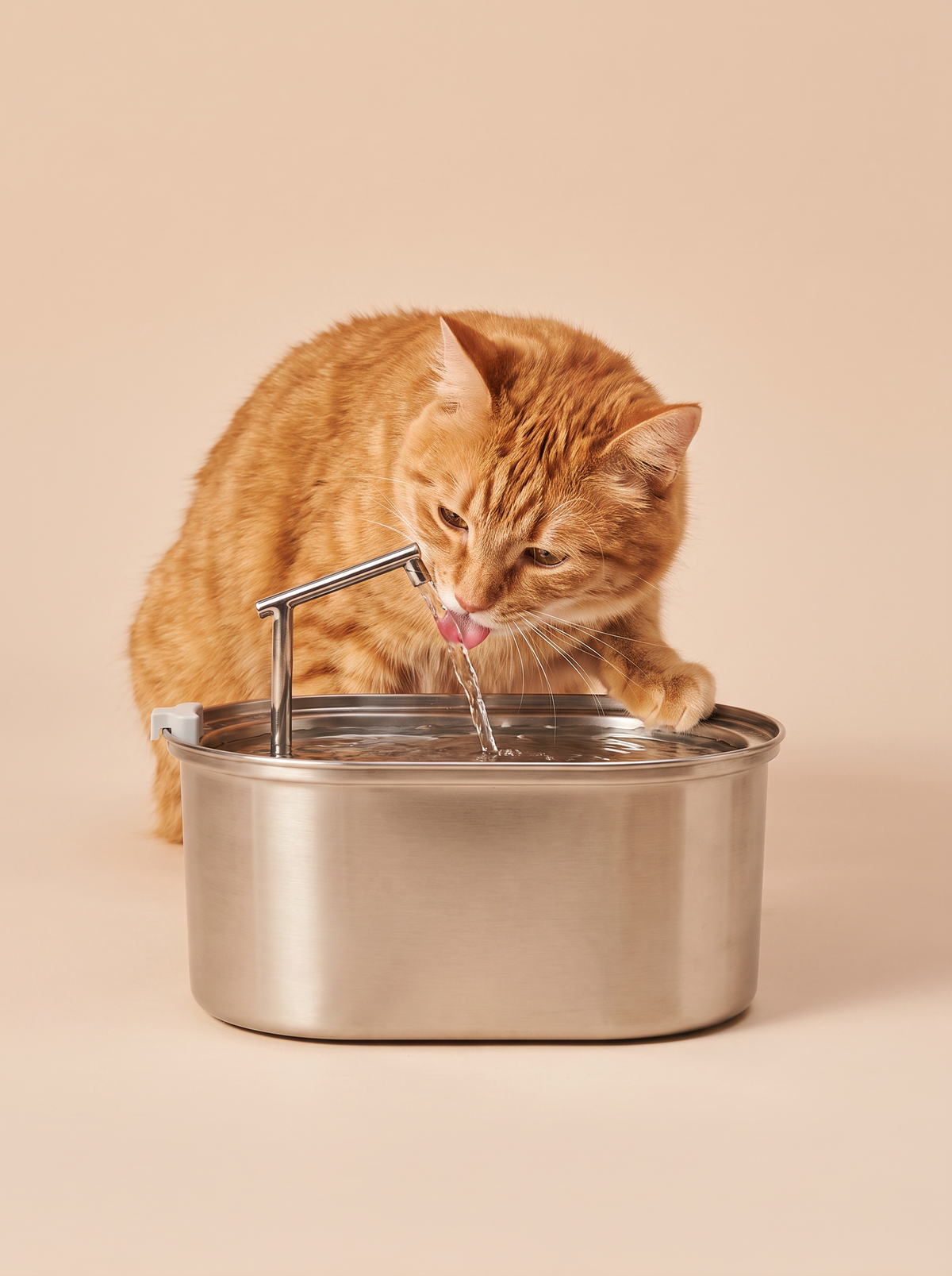Moving water cats actually want to drink