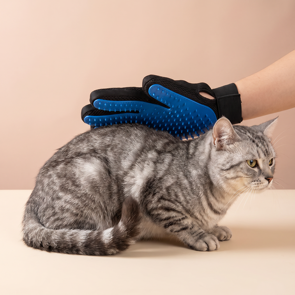 Cat Grooming Glove studio image with cat, warm beige tone