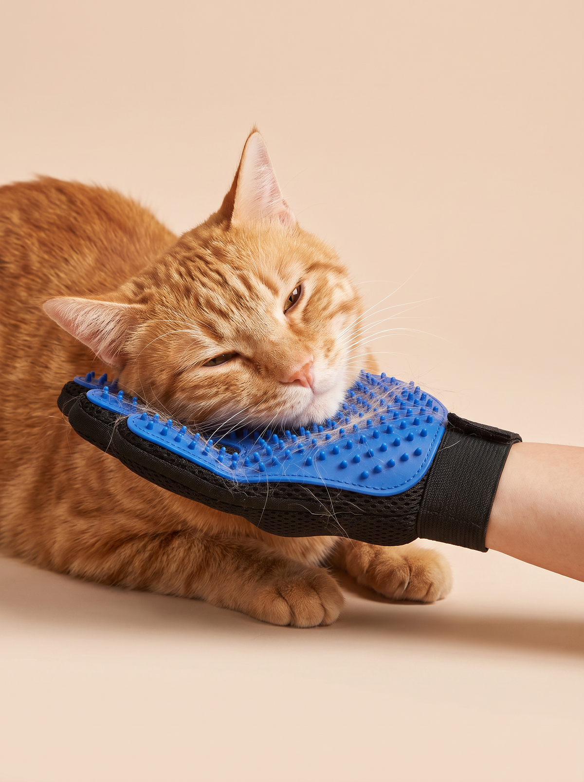 Less fur on your couch, more bonding time