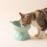 Raised Cat Bowl Tilted Ceramic Feeder studio image with cat, warm beige tone