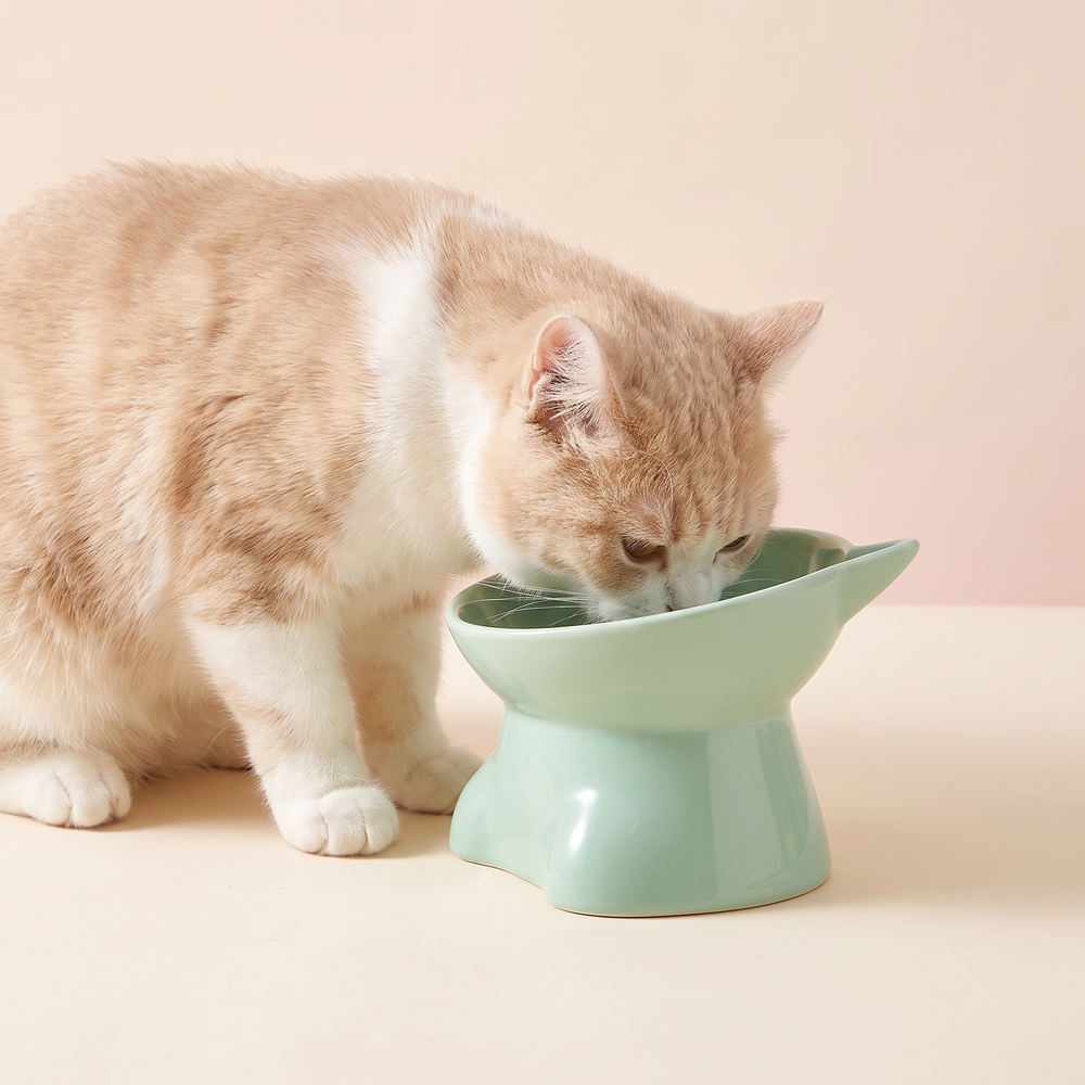Raised Cat Bowl Tilted Ceramic Feeder studio image with cat, no heart pattern, warm beige tone