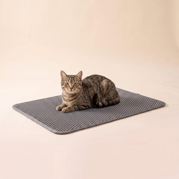 EVA Pet Cat Dog Double-Layer Washable Litter Mat studio image with cat, warm beige tone