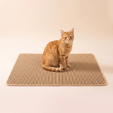 Extra Large Cat Litter Mat Heavy Duty Waterproof studio image with cat, warm beige tone