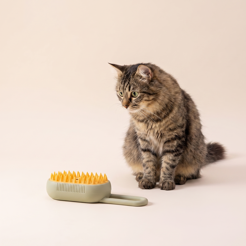 Cat Steam Brush 3-in-1 Spray Grooming Comb studio image with cat, warm beige tone