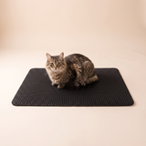 EVA Litter Mat Waterproof Cat Toilet Pad studio image with cat, warm beige tone