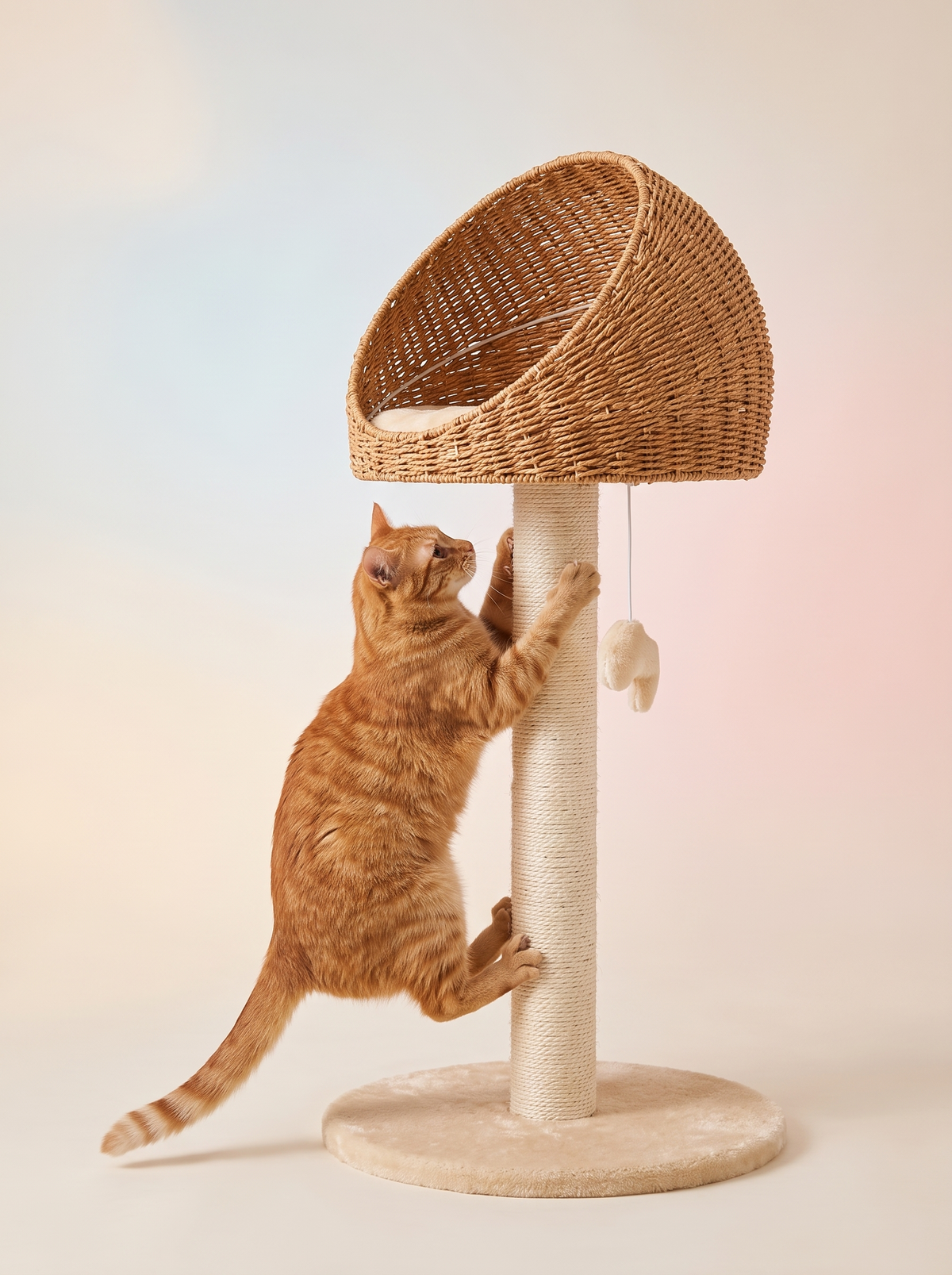 A climb that satisfies natural instinct