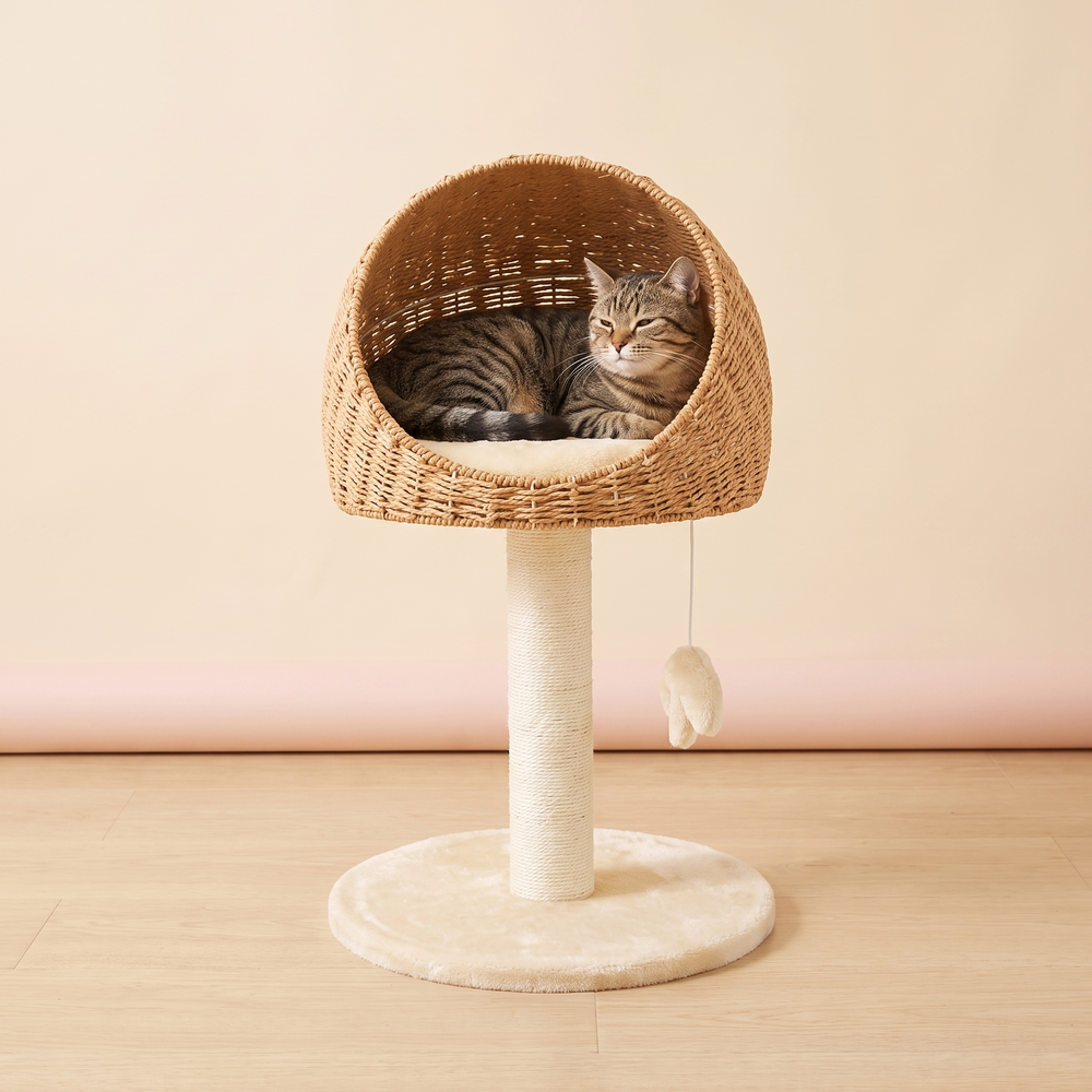 Rattan Woven Cat Climbing Rack Tree Nest studio image with cat, warm beige tone