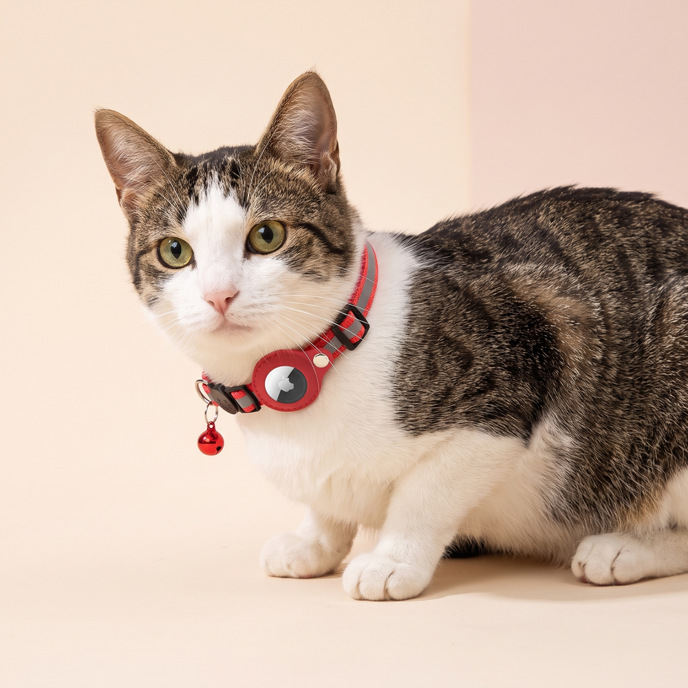 Breakaway Cat Collar with Bell AirTag Holder studio image with cat, warm beige tone