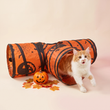 Halloween Pumpkin Cat Tunnel studio image with cat, eye-catching action shot