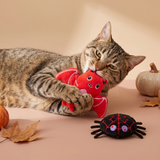 Halloween Catnip Cat Toys Bat and Spider studio image with cat