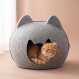 Four-Season Universal Felt Cat House studio image with cat, cozy natural lifestyle shot