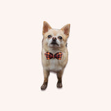 Bow dog collar autumn print - momomoca