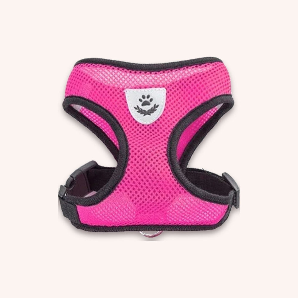 Cat harness and leash set mesh vest - momomoca