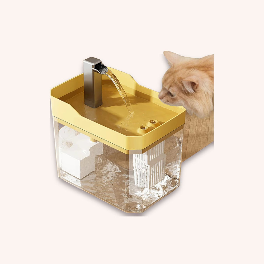 Cat water fountain, filtered USB drinker - momomoca